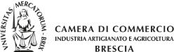 Logo Camera di Commercio Brescia